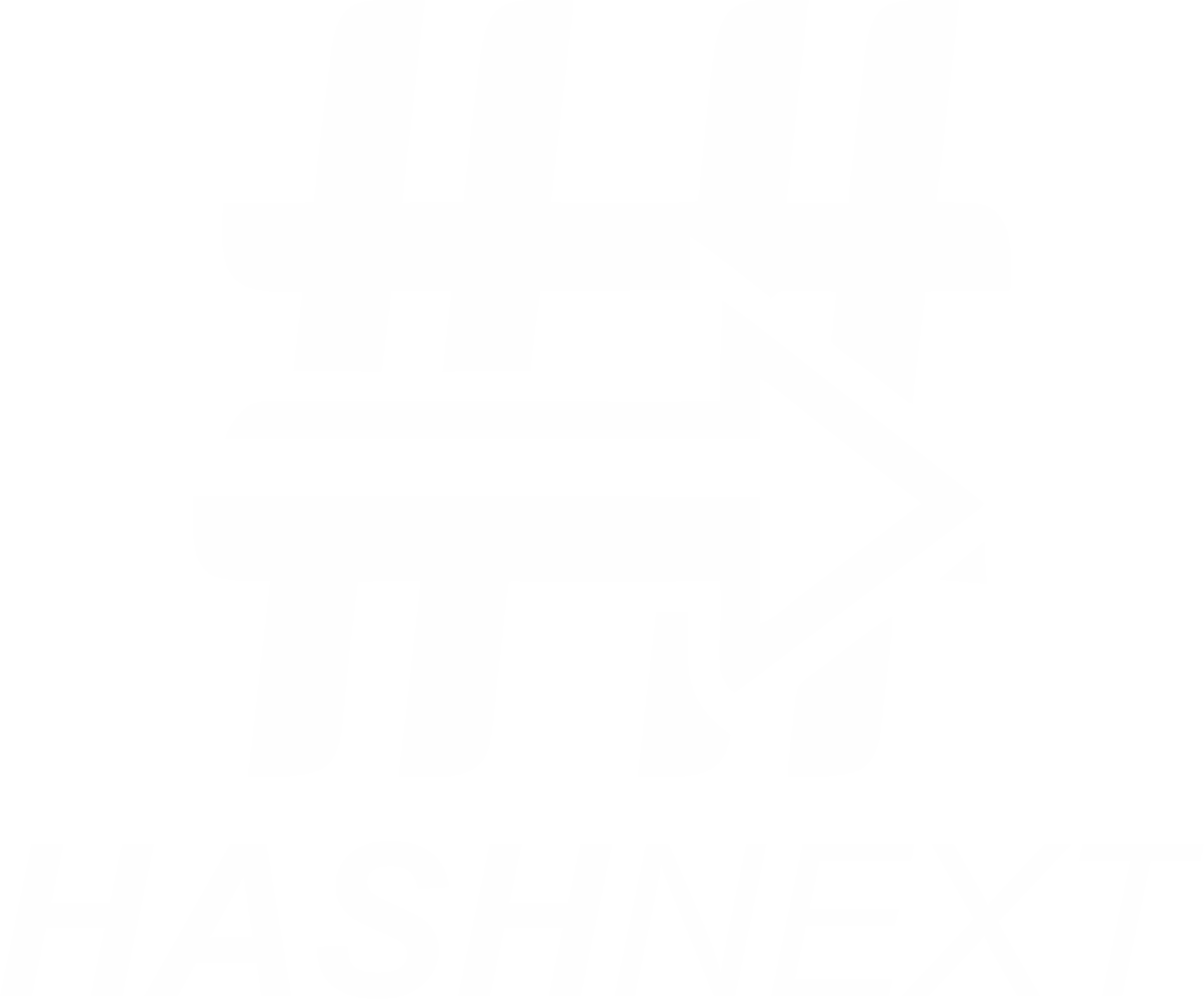 HASHNEXT WHITE PNG